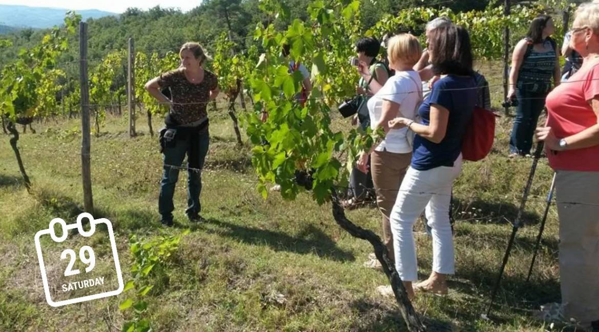 Travel diary together with UNO SPICCHIO di melone in Chianti - first episode