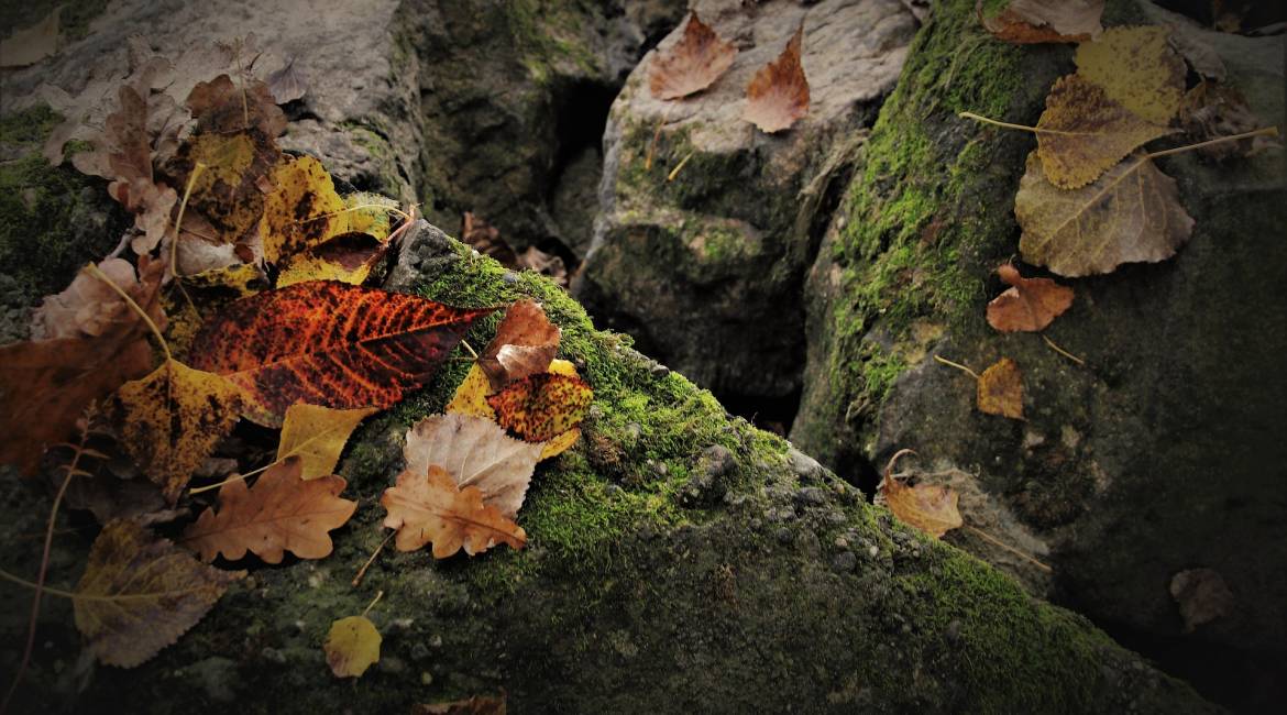 Halloween - the pagan and most discussed feast, at least in Italy
